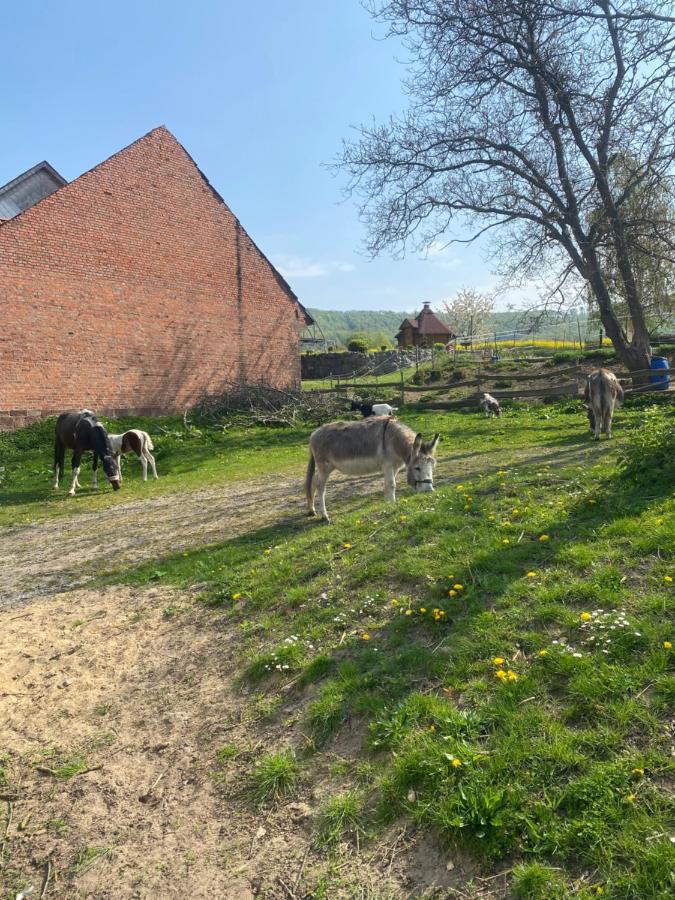 Fewo Im Reit- Und Ponyparadies Roos Halle  Extérieur photo