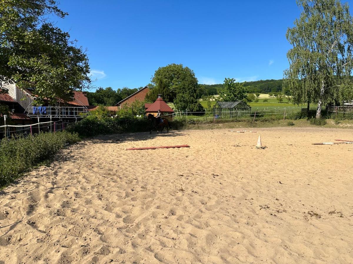 Fewo Im Reit- Und Ponyparadies Roos Halle  Extérieur photo