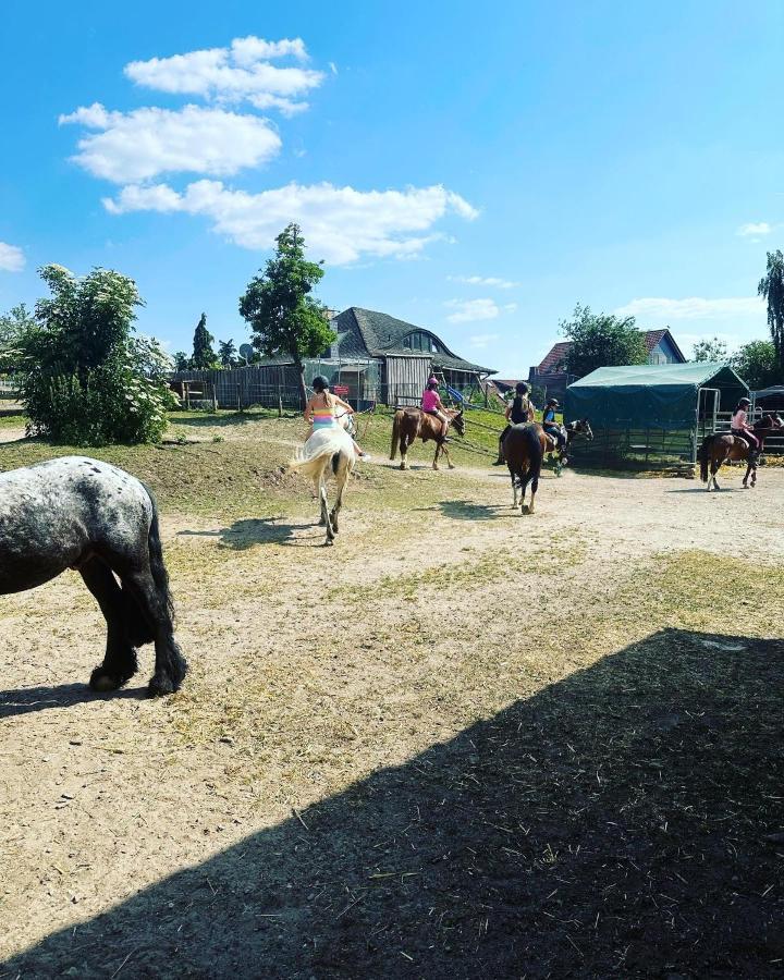 Fewo Im Reit- Und Ponyparadies Roos Halle  Extérieur photo