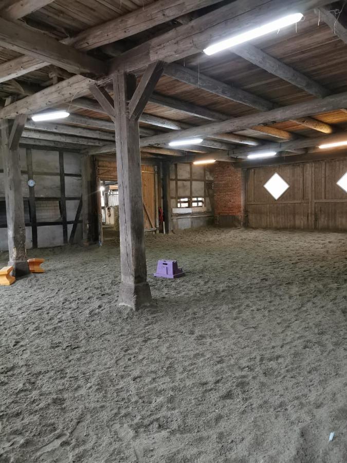 Fewo Im Reit- Und Ponyparadies Roos Halle  Extérieur photo