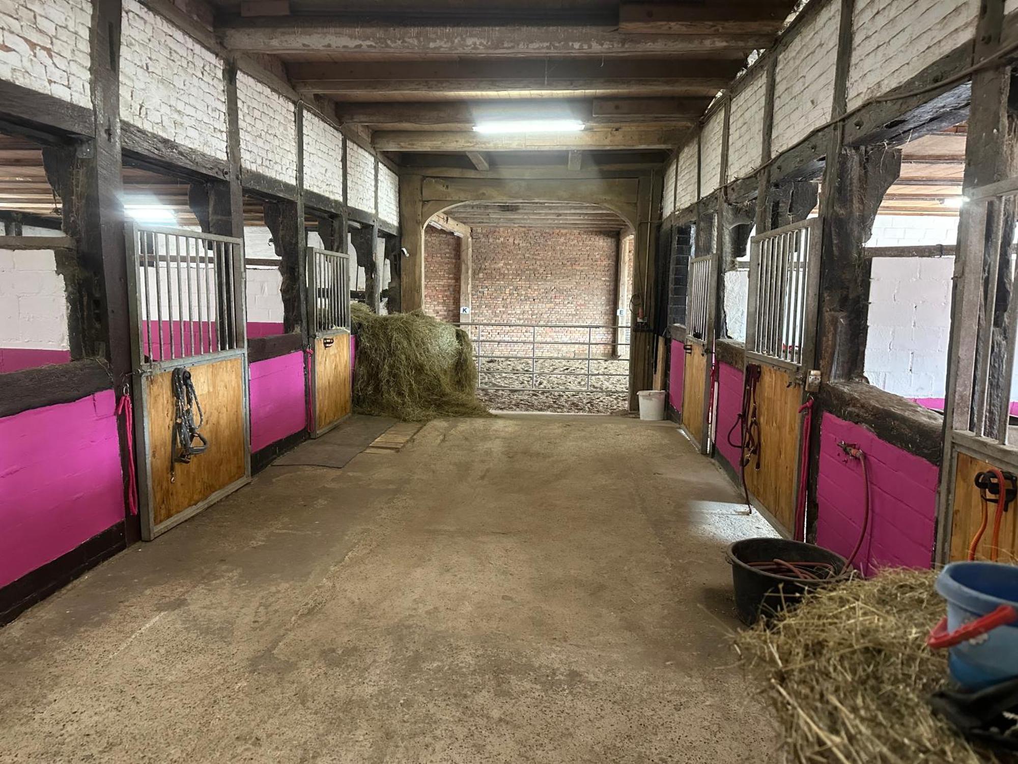 Fewo Im Reit- Und Ponyparadies Roos Halle  Extérieur photo