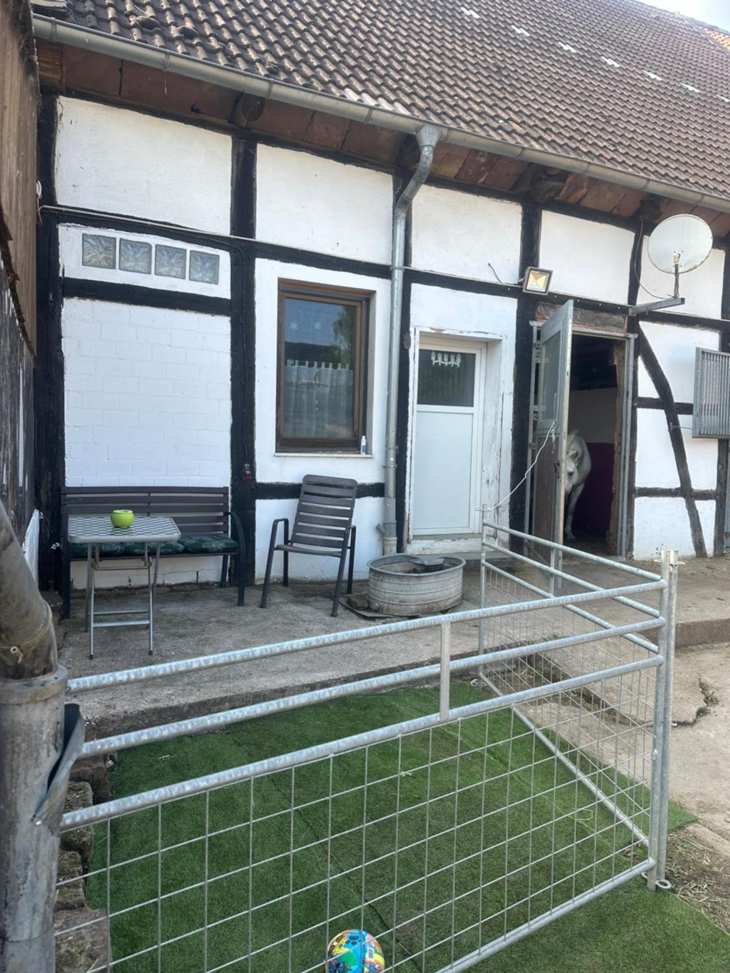 Fewo Im Reit- Und Ponyparadies Roos Halle  Extérieur photo